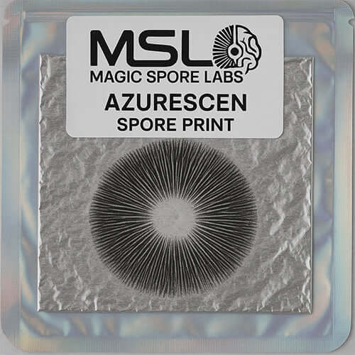 Azurescen Spore Print