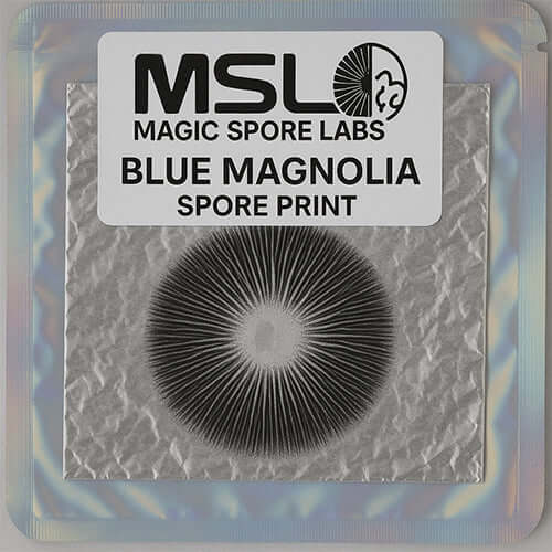 Blue Magnolia Spore Print