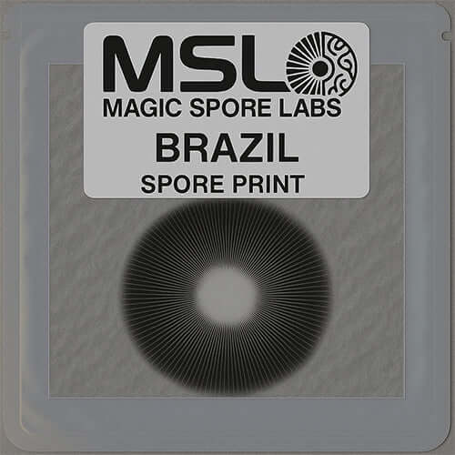 Brazil Spore Print