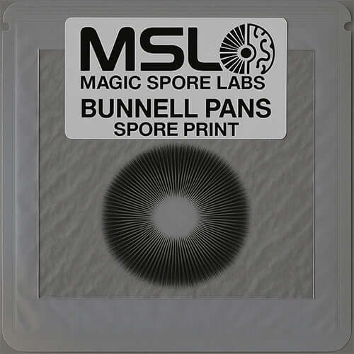 Bunnell Pans Spore Print