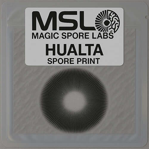 Hualta Spore Prints