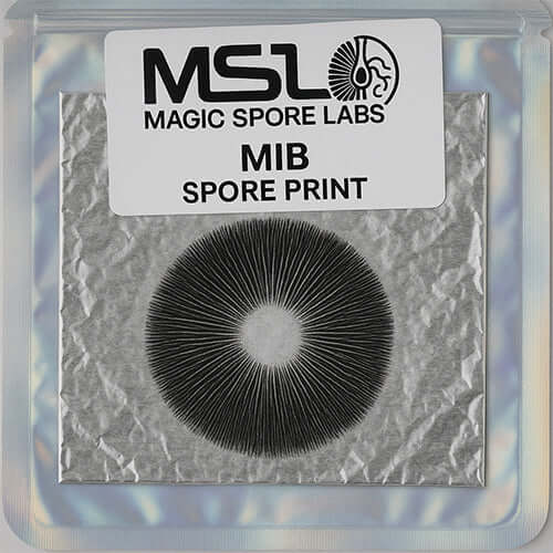 MIB Spore Print