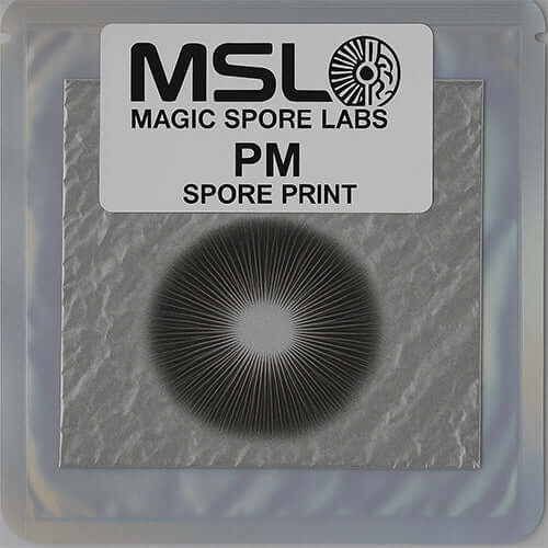 PM Spore Print