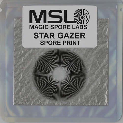 Star Gazer Spore Print