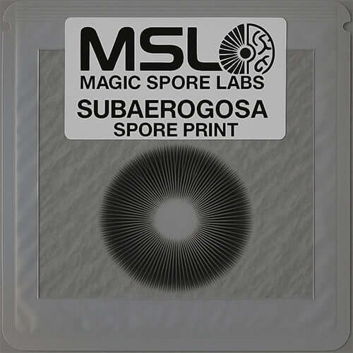Subaerogosa Spore Print