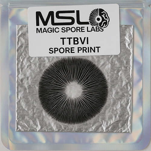 TTBVI Spore Print