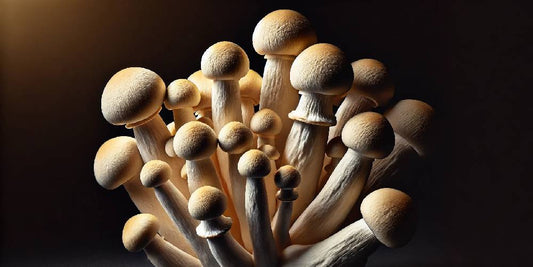 What Are Penis Envy Mushrooms? An Origin Tale