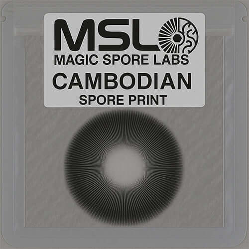 Cambodian Mushroom Spore Prints
