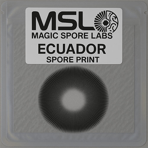 Ecuador Spore Prints
