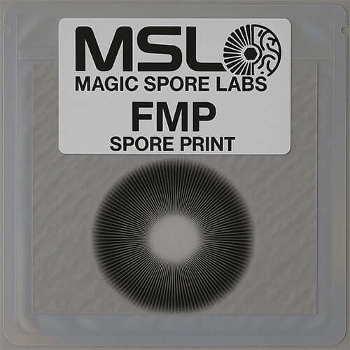 FMP Mushroom Spore Prints