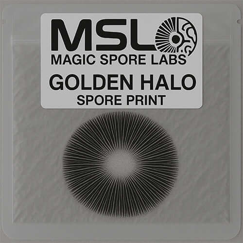 Golden Halo Mushroom Spore Prints