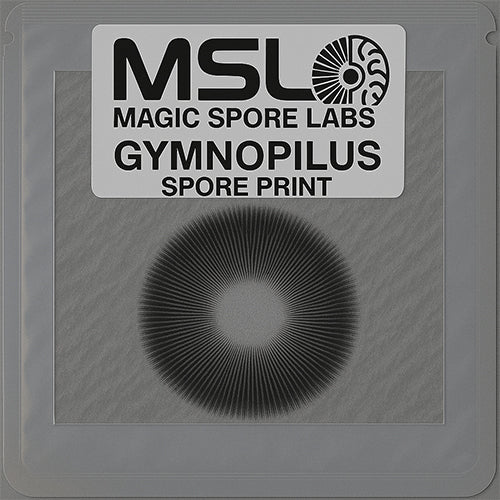 Gymopilus Spore Print