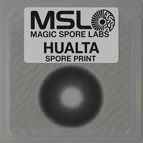 Hualta Spore Prints