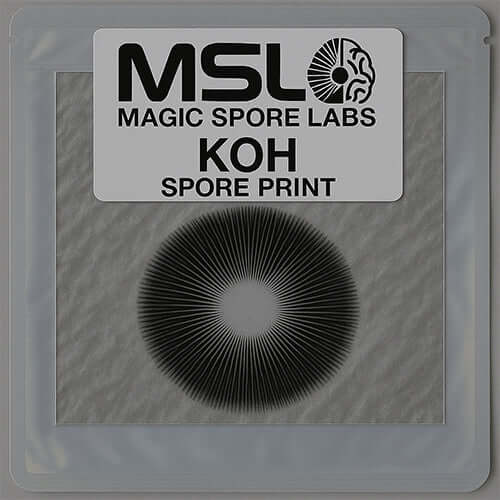 Koh Mushroom Spore Prints