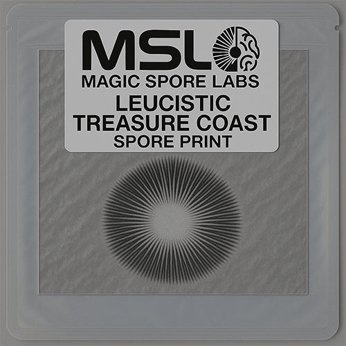 Leucsitic Treasure Coast Spore Print