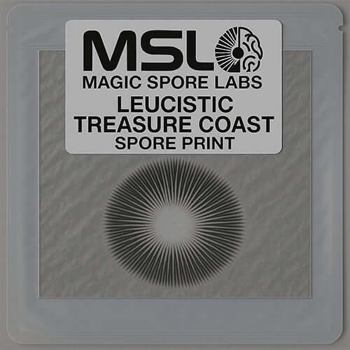 Leucsitic Treasure Coast Mushroom Spore Prints