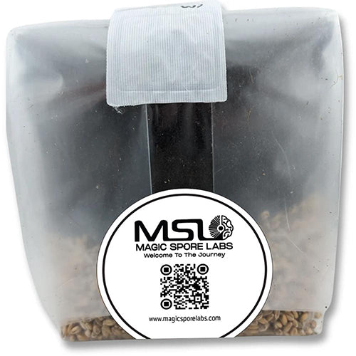 Magic Spore Labs 5LB Mushroom Grow Bag