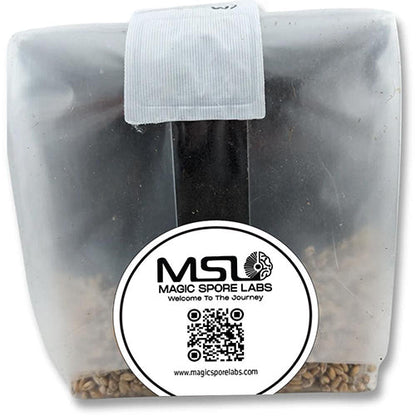 Magic Spore Labs 5LB Mushroom Grow Bag