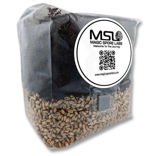 Magic Spore Labs Mushroom Grow Bag