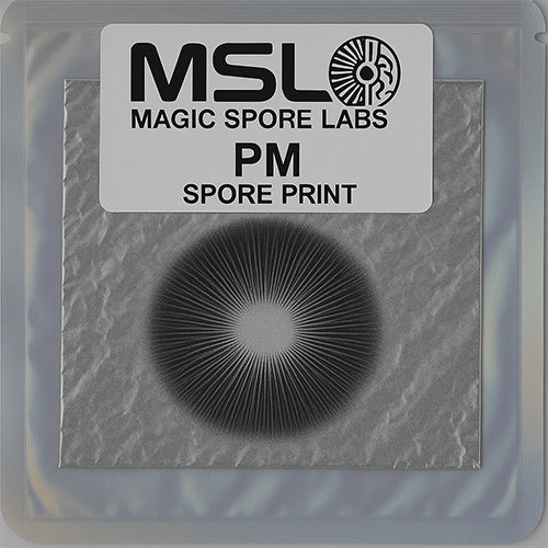 PM Spore Print