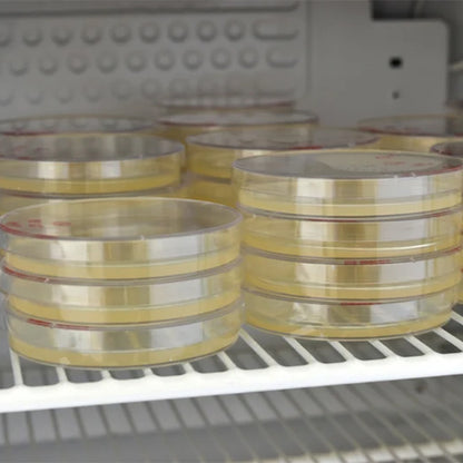 Pre-Poured Sterile Agar Plates Stored