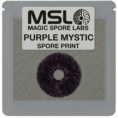 Purple Mystic Mushroom Spore Print