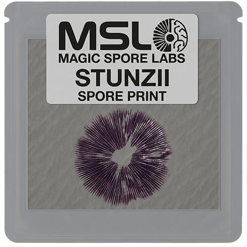 Stunzii Mushroom Spore Print