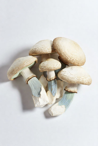 Set of ceramic mushrooms on a light gray background