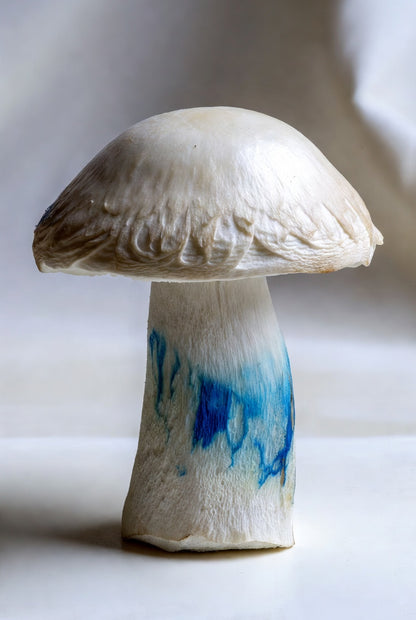 Mushroom-shaped object with a blue spot on a white background