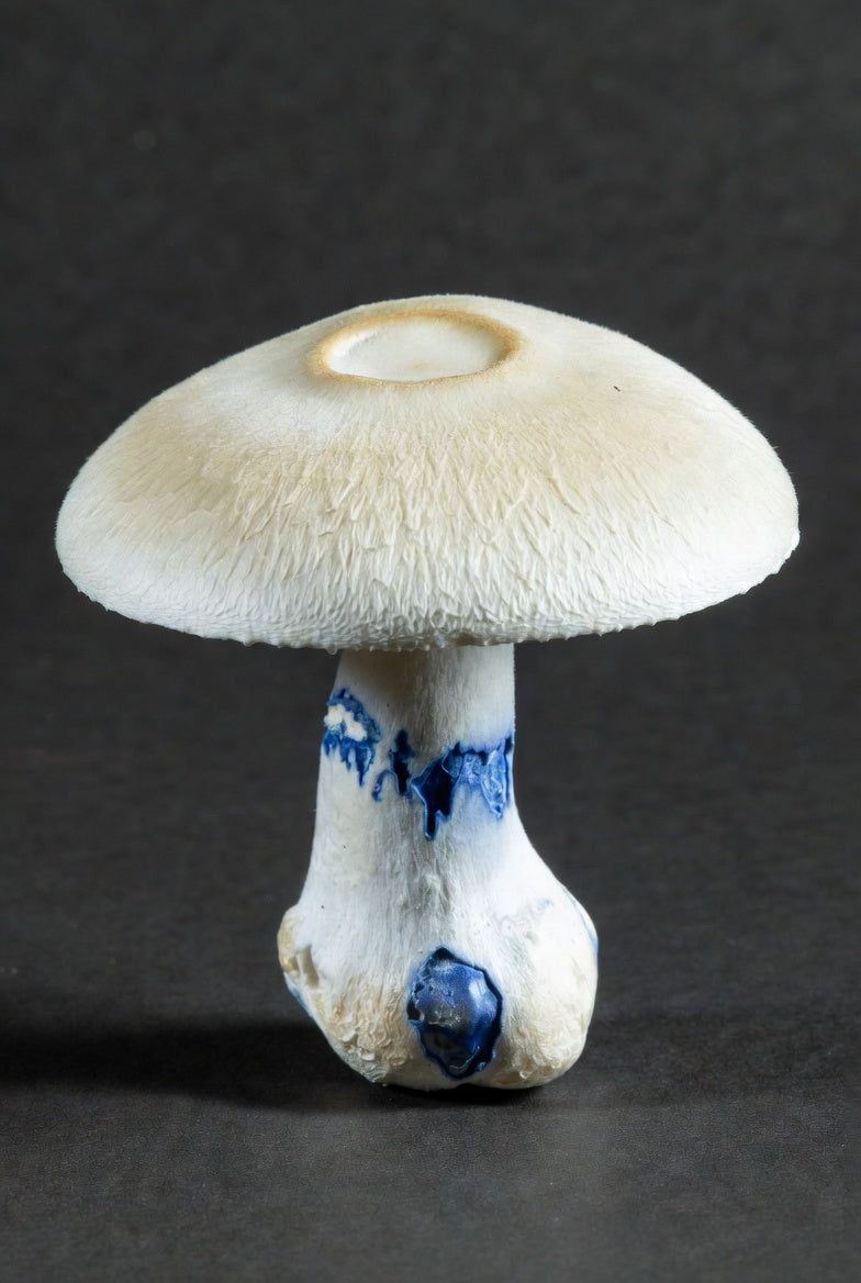 White ceramic mushroom with blue accents on a dark background