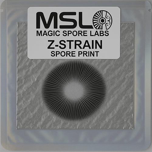 Z-Strain Spore Print